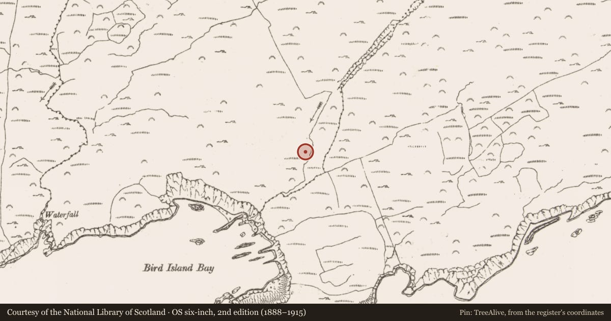 Ordnance Survey six-inch map, 2nd edition (1888–1915) covering the location of Enclosure, Ballynakilla (Bear By., Killaconenagh Par.), County Cork, with a pin at the register's coordinates