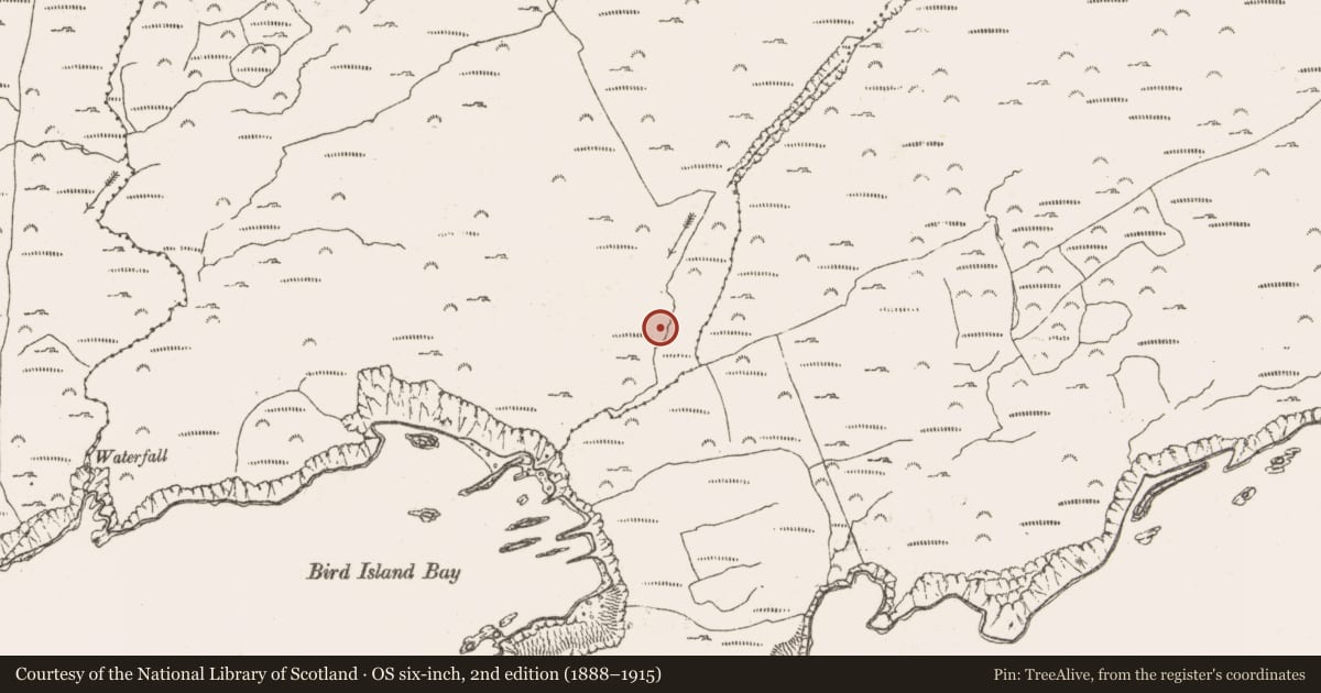 Ordnance Survey six-inch map, 2nd edition (1888–1915) covering the location of Hut site, Ballynakilla (Bear By., Killaconenagh Par.), County Cork, with a pin at the register's coordinates