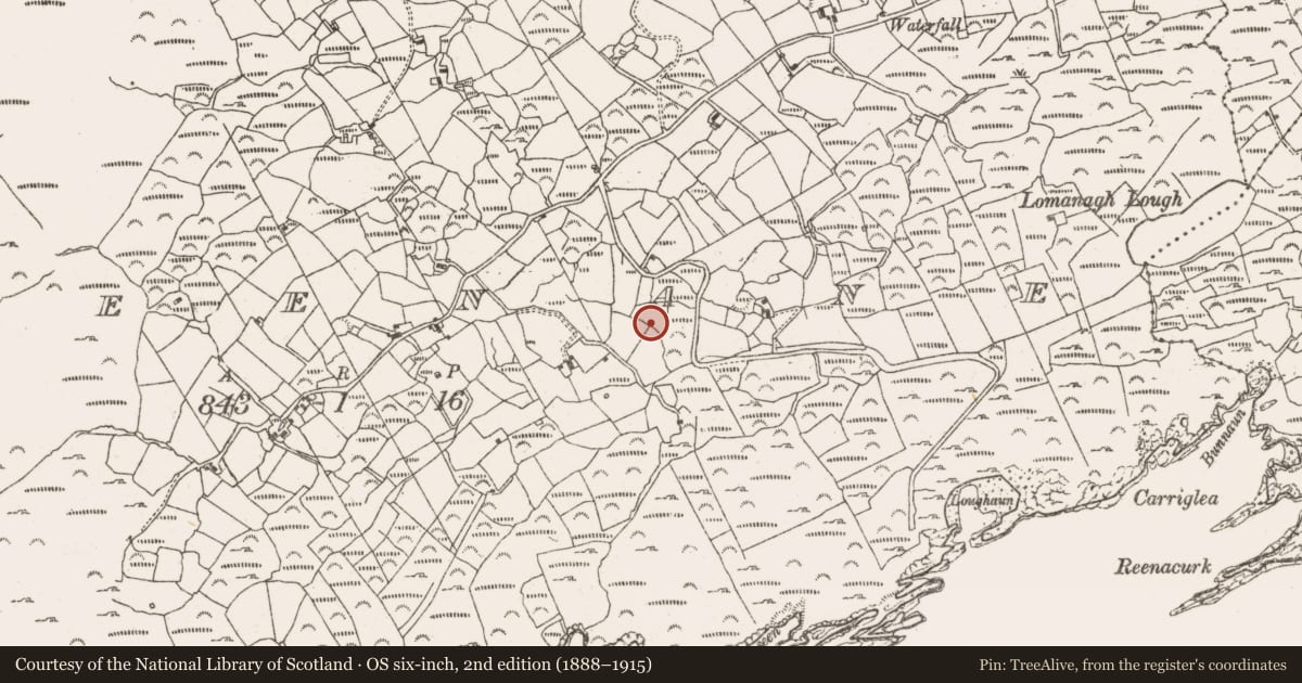 Ordnance Survey six-inch map, 2nd edition (1888–1915) covering the location of Children's burial ground, Greenane, County Cork, with a pin at the register's coordinates