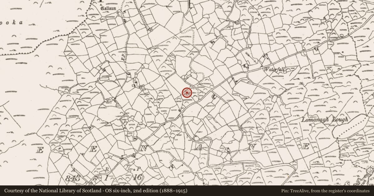 Ordnance Survey six-inch map, 2nd edition (1888–1915) covering the location of Ringfort - rath, Greenane, County Cork, with a pin at the register's coordinates