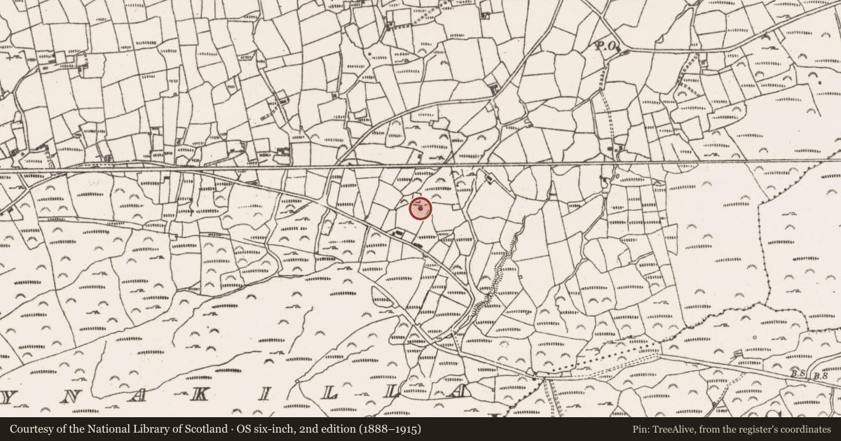 Ordnance Survey six-inch map, 2nd edition (1888–1915) covering the location of Road - road/trackway, Ballynakilla (Bear By., Killaconenagh Par.), County Cork, with a pin at the register's coordinates