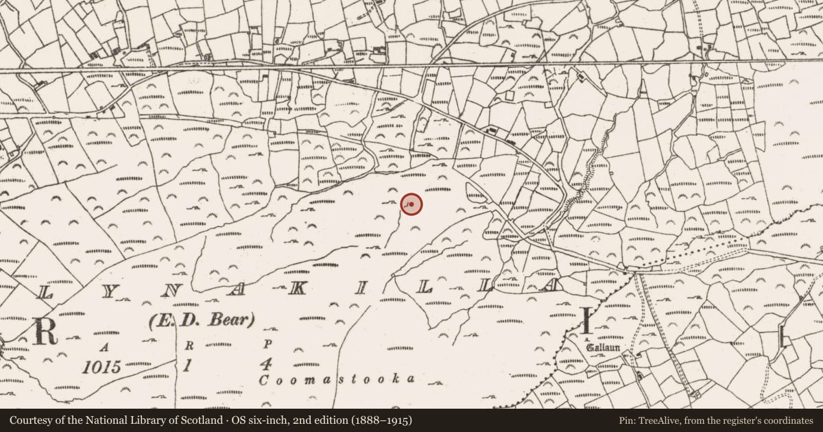Ordnance Survey six-inch map, 2nd edition (1888–1915) covering the location of Church, Ballynakilla (Bear By., Killaconenagh Par.), County Cork, with a pin at the register's coordinates