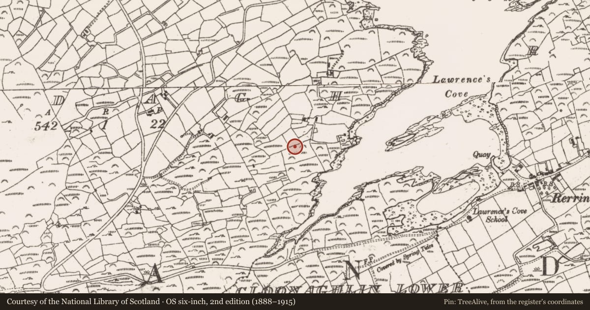 Ordnance Survey six-inch map, 2nd edition (1888–1915) covering the location of Burnt mound, Ardagh, County Cork, with a pin at the register's coordinates