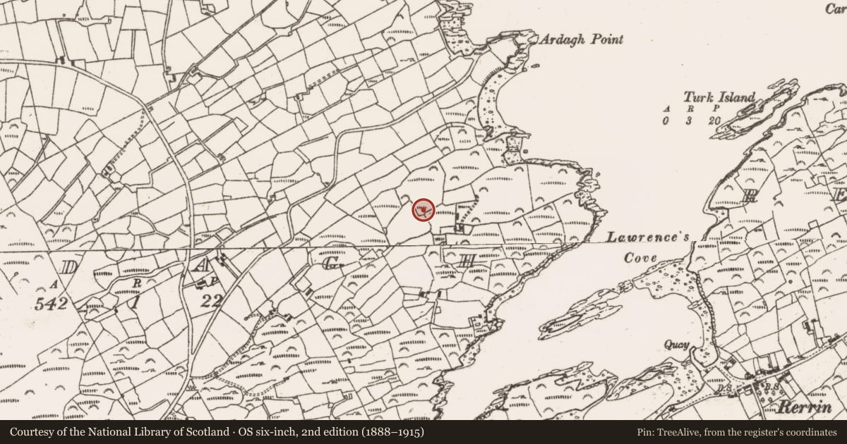 Ordnance Survey six-inch map, 2nd edition (1888–1915) covering the location of Standing stone (present location), Ardagh, County Cork, with a pin at the register's coordinates