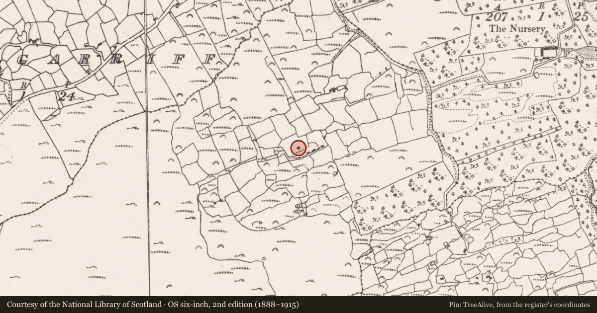 Ordnance Survey six-inch map, 2nd edition (1888–1915) covering the location of Standing stone, Fuhur, County Cork, with a pin at the register's coordinates