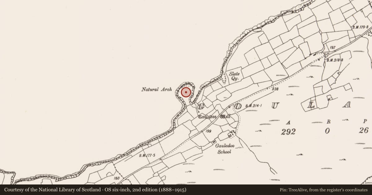 Ordnance Survey six-inch map, 2nd edition (1888–1915) covering the location of Promontory fort - coastal, Gouladoo, County Cork, with a pin at the register's coordinates