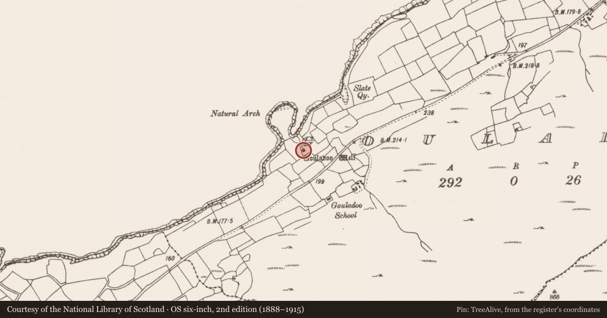 Ordnance Survey six-inch map, 2nd edition (1888–1915) covering the location of Ritual site - holy well, Gouladoo, County Cork, with a pin at the register's coordinates
