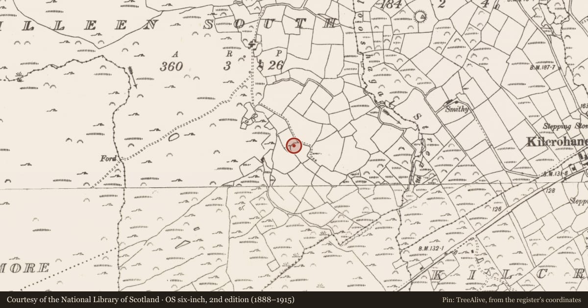 Ordnance Survey six-inch map, 2nd edition (1888–1915) covering the location of Ringfort - rath, Killeen South, County Cork, with a pin at the register's coordinates