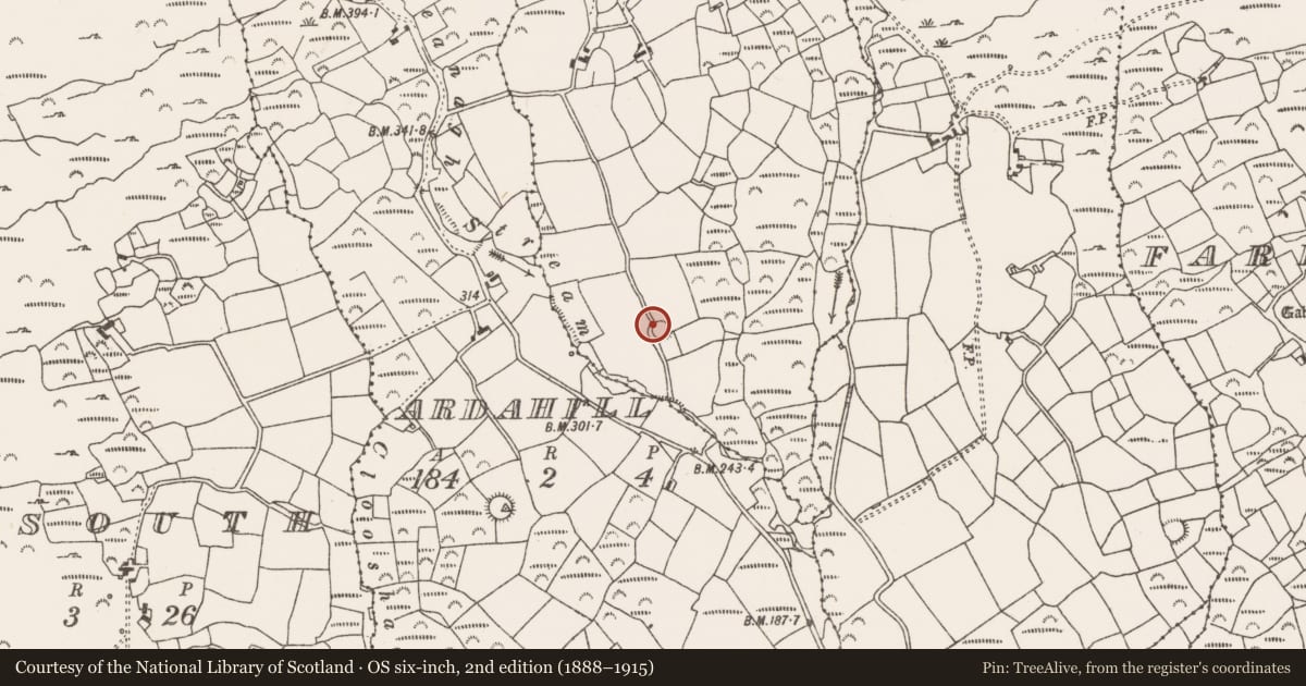 Ordnance Survey six-inch map, 2nd edition (1888–1915) covering the location of Ringfort - rath, Raferigeen, County Cork, with a pin at the register's coordinates