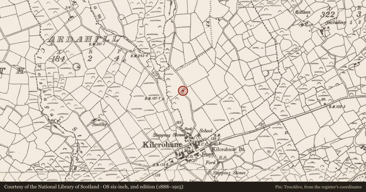 Ordnance Survey six-inch map, 2nd edition (1888–1915) covering the location of Ringfort - rath, Faunmore, County Cork, with a pin at the register's coordinates