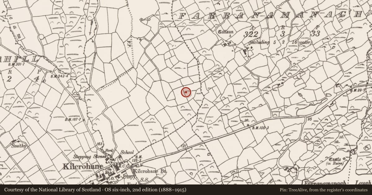 Ordnance Survey six-inch map, 2nd edition (1888–1915) covering the location of Ringfort - rath, Faunmore, County Cork, with a pin at the register's coordinates