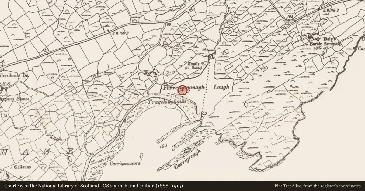 Ordnance Survey six-inch map, 2nd edition (1888–1915) covering the location of Souterrain, Farranamanagh, County Cork, with a pin at the register's coordinates