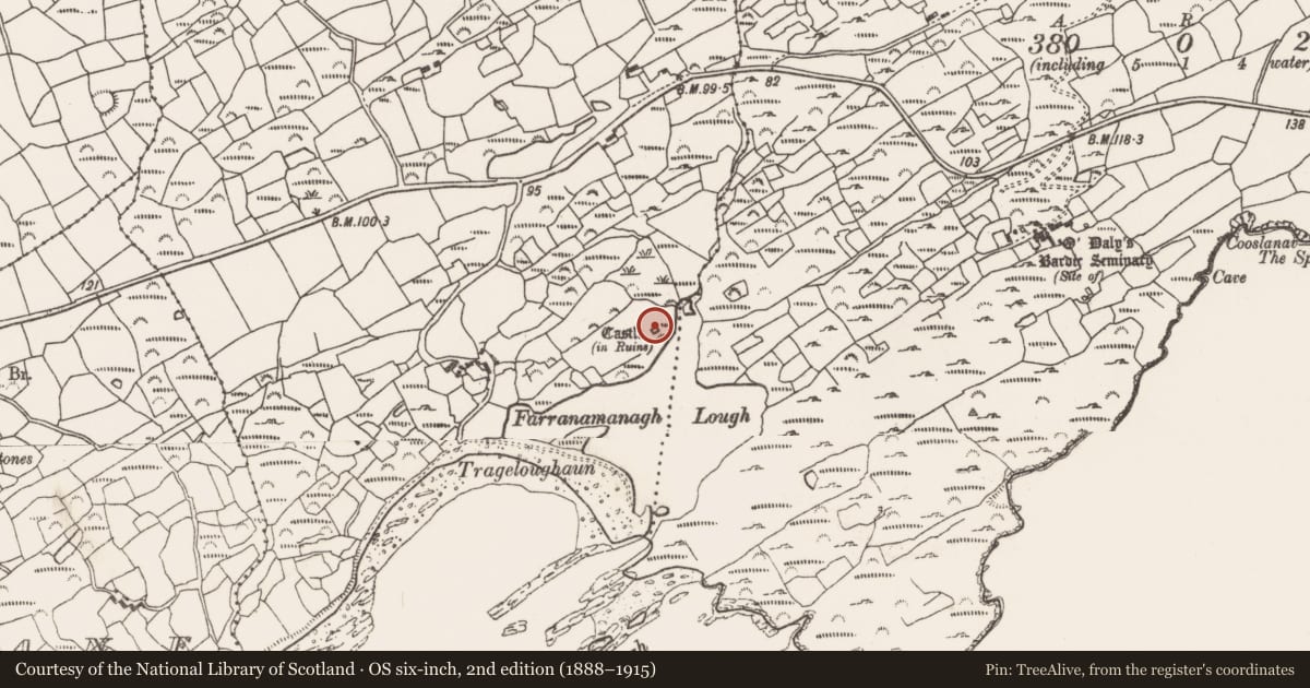 Ordnance Survey six-inch map, 2nd edition (1888–1915) covering the location of Castle - tower house, Farranamanagh, County Cork, with a pin at the register's coordinates