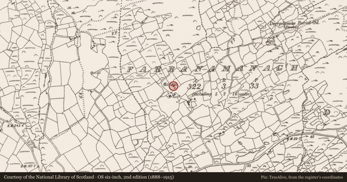 Ordnance Survey six-inch map, 2nd edition (1888–1915) covering the location of Stone row, Farranamanagh, County Cork, with a pin at the register's coordinates