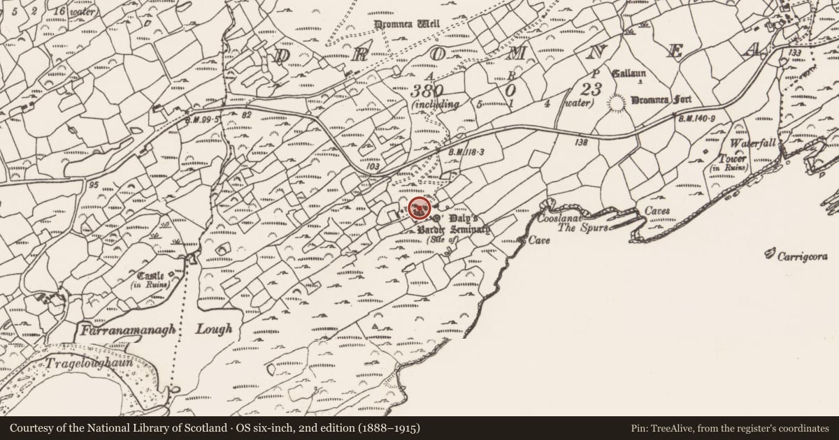 Ordnance Survey six-inch map, 2nd edition (1888–1915) covering the location of School, Dromnea, County Cork, with a pin at the register's coordinates