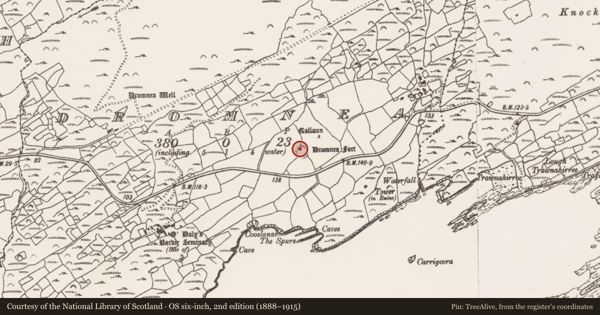Ordnance Survey six-inch map, 2nd edition (1888–1915) covering the location of Ringfort - rath, Dromnea, County Cork, with a pin at the register's coordinates
