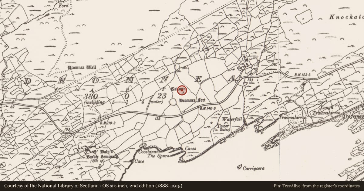 Ordnance Survey six-inch map, 2nd edition (1888–1915) covering the location of Stone row, Dromnea, County Cork, with a pin at the register's coordinates