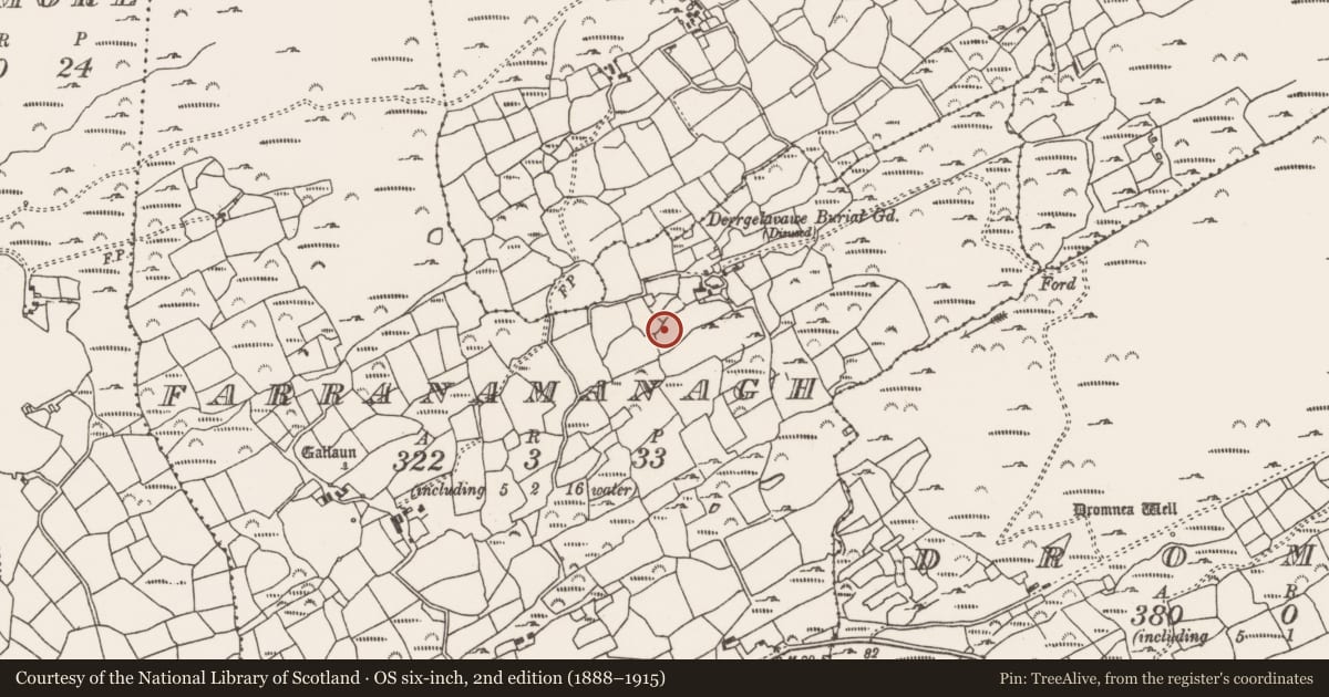 Ordnance Survey six-inch map, 2nd edition (1888–1915) covering the location of Standing stone, Farranamanagh, County Cork, with a pin at the register's coordinates