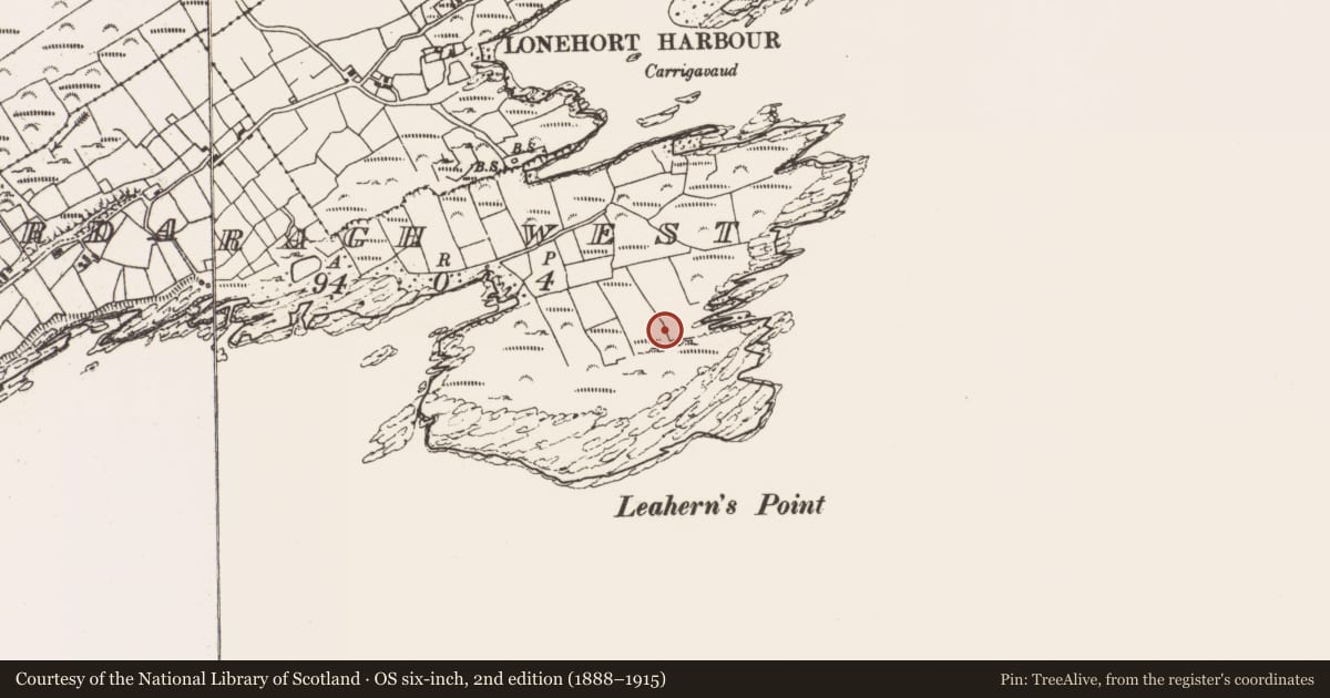 Ordnance Survey six-inch map, 2nd edition (1888–1915) covering the location of Burial ground, Ardaragh West, County Cork, with a pin at the register's coordinates