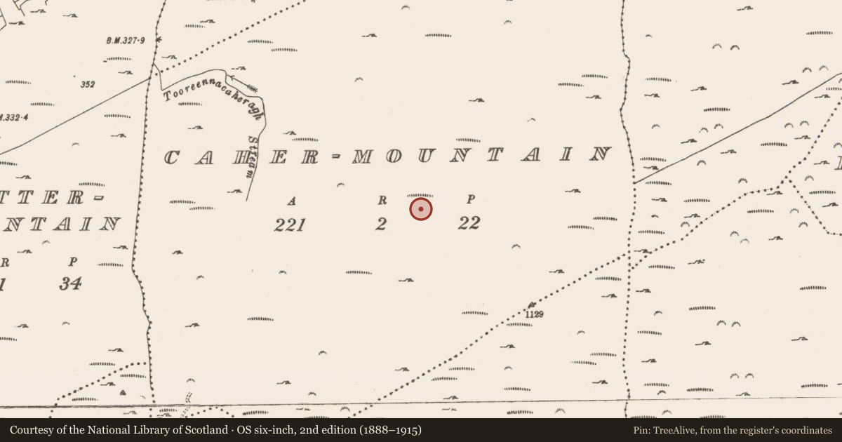 Ordnance Survey six-inch map, 2nd edition (1888–1915) covering the location of Hut site, Cahermountain, County Cork, with a pin at the register's coordinates