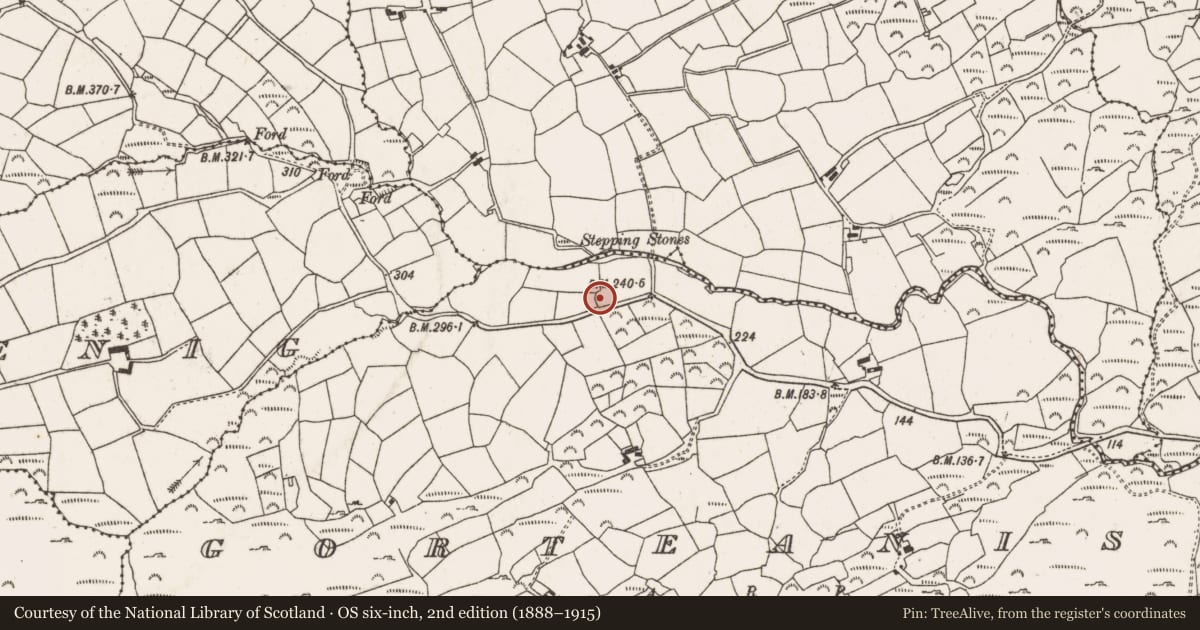 Ordnance Survey six-inch map, 2nd edition (1888–1915) covering the location of Ringfort - rath, Gorteanish, County Cork, with a pin at the register's coordinates