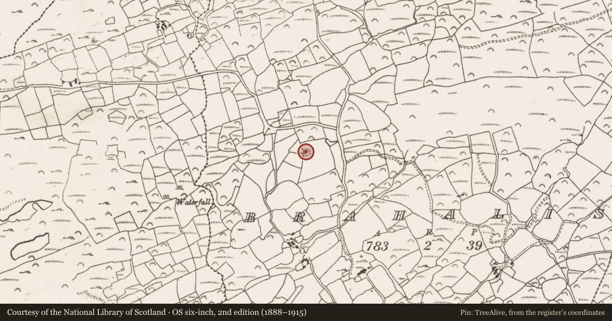 Ordnance Survey six-inch map, 2nd edition (1888–1915) covering the location of Ringfort - rath, Brahalish, County Cork, with a pin at the register's coordinates