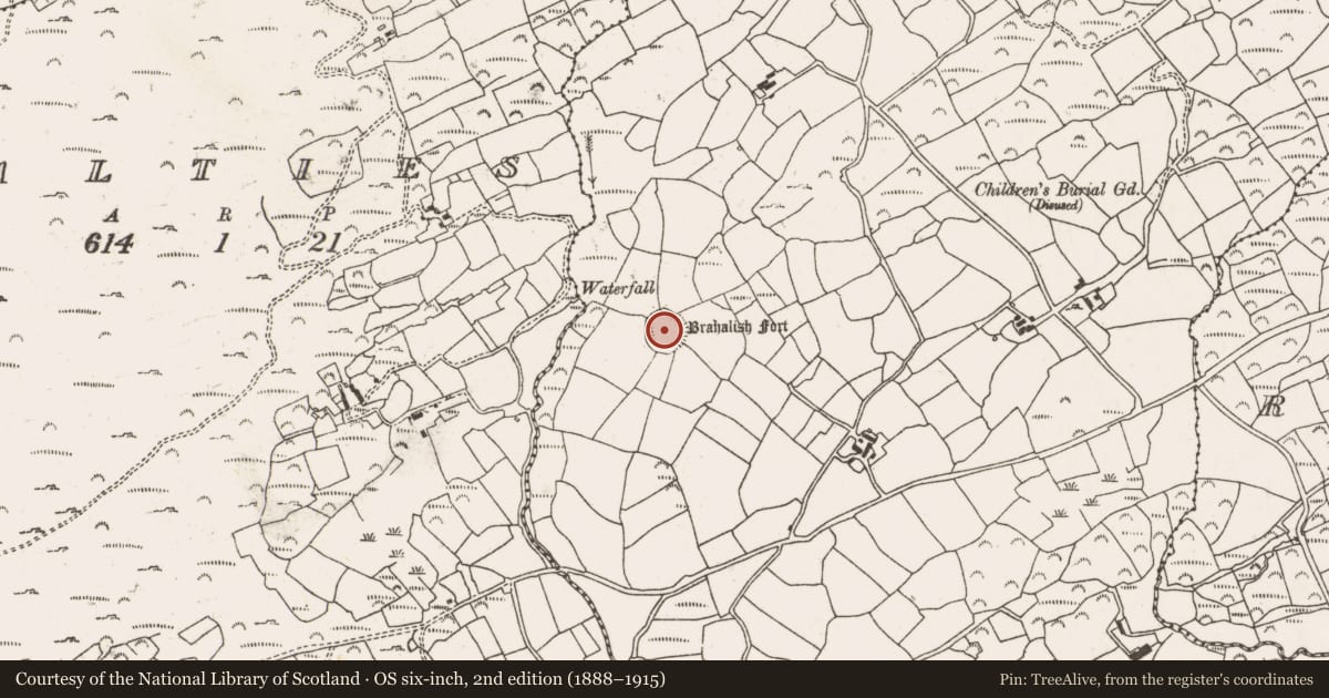 Ordnance Survey six-inch map, 2nd edition (1888–1915) covering the location of Ringfort - rath, Brahalish, County Cork, with a pin at the register's coordinates