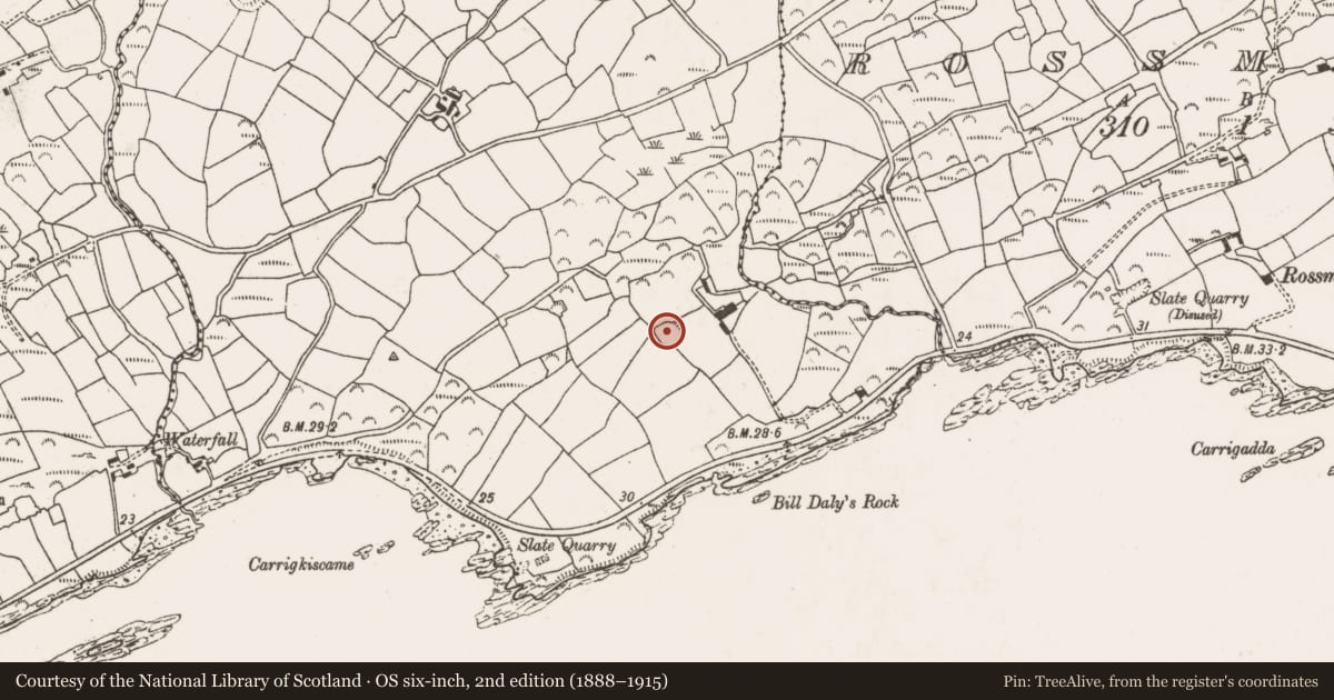 Ordnance Survey six-inch map, 2nd edition (1888–1915) covering the location of Ringfort - rath, Brahalish, County Cork, with a pin at the register's coordinates