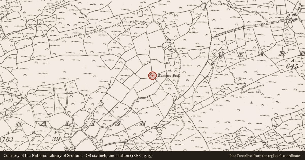Ordnance Survey six-inch map, 2nd edition (1888–1915) covering the location of Ringfort - rath, Brahalish, County Cork, with a pin at the register's coordinates