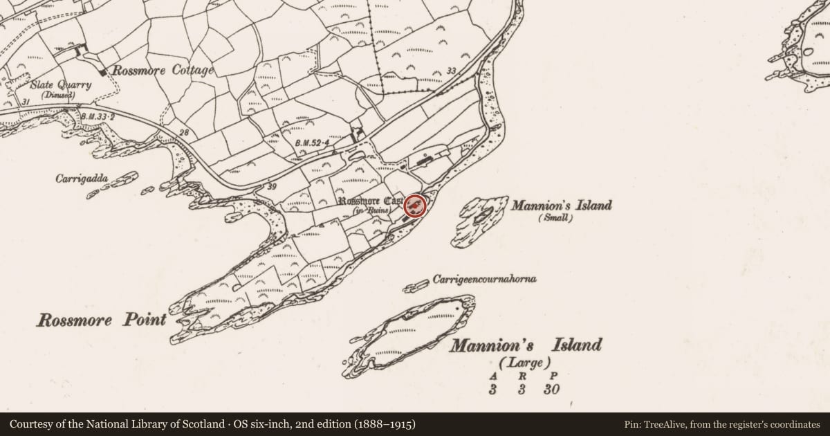 Ordnance Survey six-inch map, 2nd edition (1888–1915) covering the location of Castle - tower house, Rossmore, County Cork, with a pin at the register's coordinates