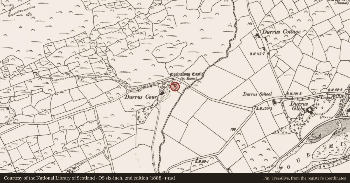 Ordnance Survey six-inch map, 2nd edition (1888–1915) covering the location of House - fortified house, Gearhameen, County Cork, with a pin at the register's coordinates