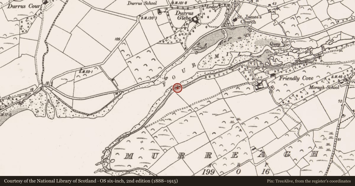 Ordnance Survey six-inch map, 2nd edition (1888–1915) covering the location of Corn store, Murreagh, County Cork, with a pin at the register's coordinates