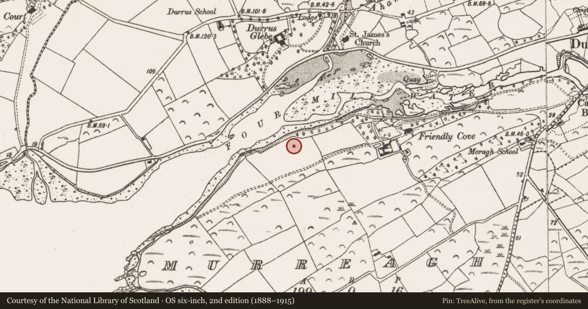 Ordnance Survey six-inch map, 2nd edition (1888–1915) covering the location of Standing stone, Murreagh, County Cork, with a pin at the register's coordinates