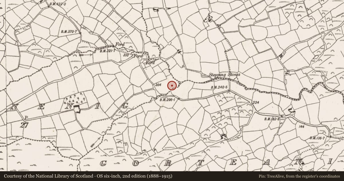Ordnance Survey six-inch map, 2nd edition (1888–1915) covering the location of Burial ground, Ardanenig, County Cork, with a pin at the register's coordinates