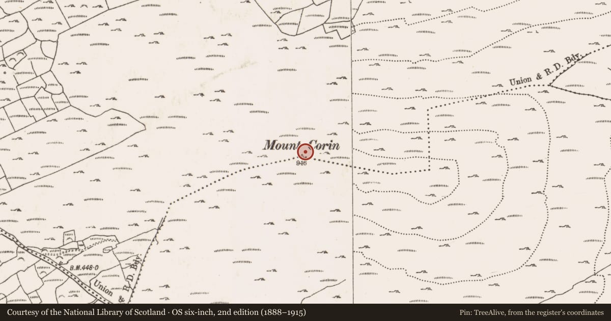 Ordnance Survey six-inch map, 2nd edition (1888–1915) covering the location of Cairn - unclassified, Coolcoulaghta, Derreennalomane, County Cork, with a pin at the register's coordinates