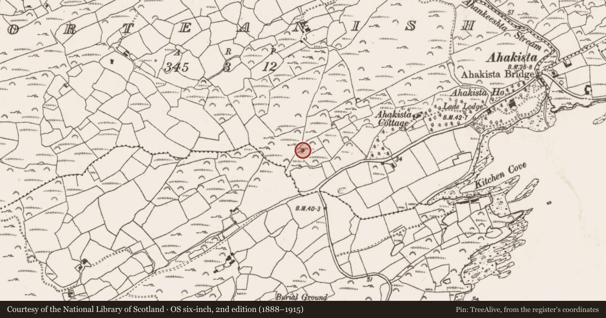 Ordnance Survey six-inch map, 2nd edition (1888–1915) covering the location of Boulder-burial, Gorteanish, County Cork, with a pin at the register's coordinates