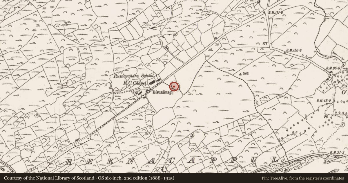 Ordnance Survey six-inch map, 2nd edition (1888–1915) covering the location of Ringfort - rath, Rossnacaheragh, County Cork, with a pin at the register's coordinates