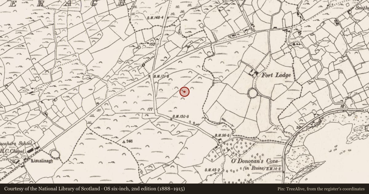 Ordnance Survey six-inch map, 2nd edition (1888–1915) covering the location of Designed landscape - tree-ring, Rossnacaheragh, County Cork, with a pin at the register's coordinates