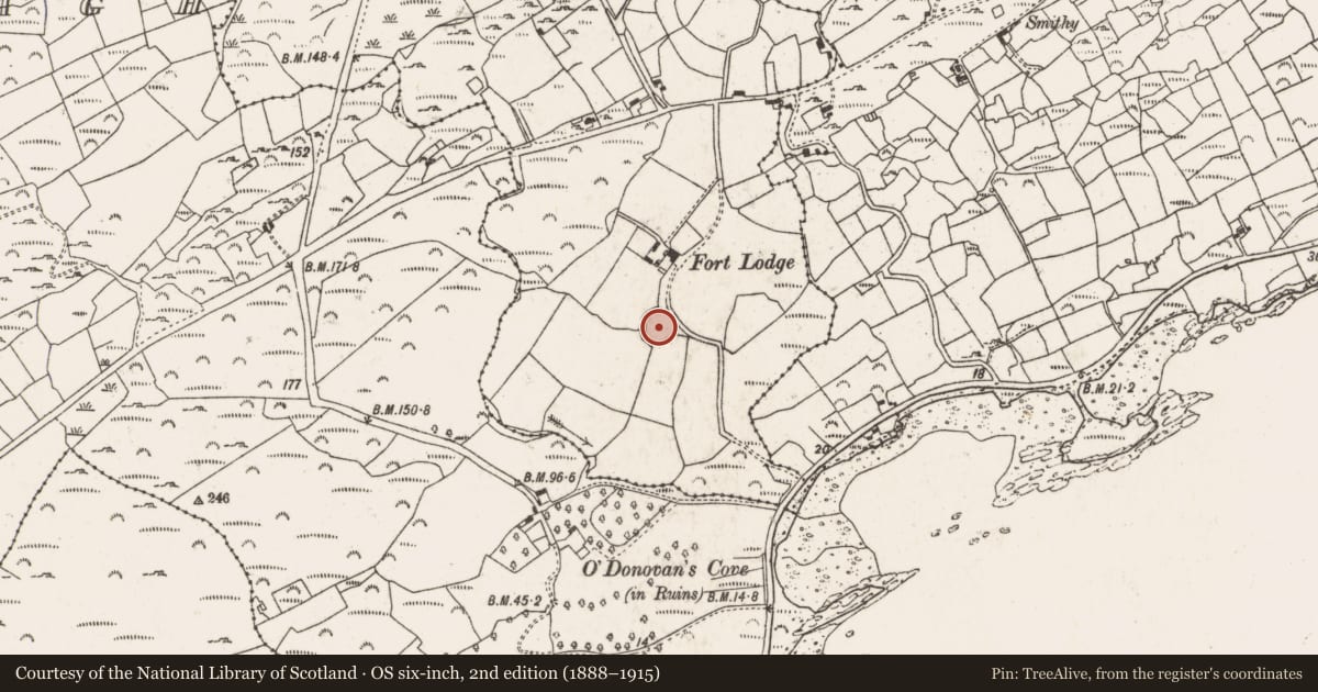 Ordnance Survey six-inch map, 2nd edition (1888–1915) covering the location of Ringfort - rath, Tullig, County Cork, with a pin at the register's coordinates