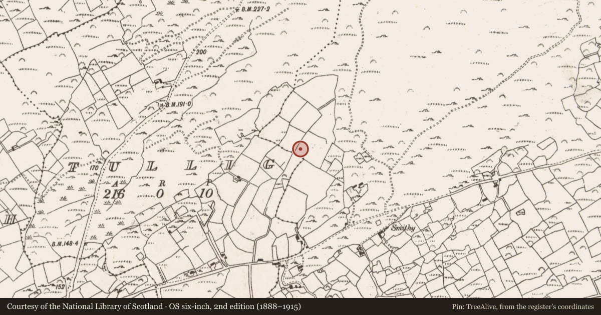 Ordnance Survey six-inch map, 2nd edition (1888–1915) covering the location of Ringfort - rath, Kealties, County Cork, with a pin at the register's coordinates
