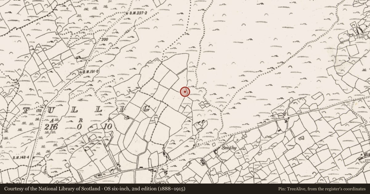 Ordnance Survey six-inch map, 2nd edition (1888–1915) covering the location of Ringfort - rath, Kealties, County Cork, with a pin at the register's coordinates