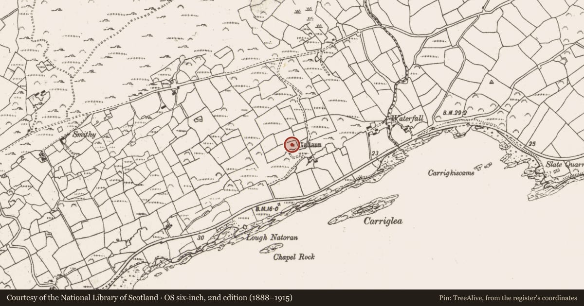 Ordnance Survey six-inch map, 2nd edition (1888–1915) covering the location of Standing stone, Kealties, County Cork, with a pin at the register's coordinates