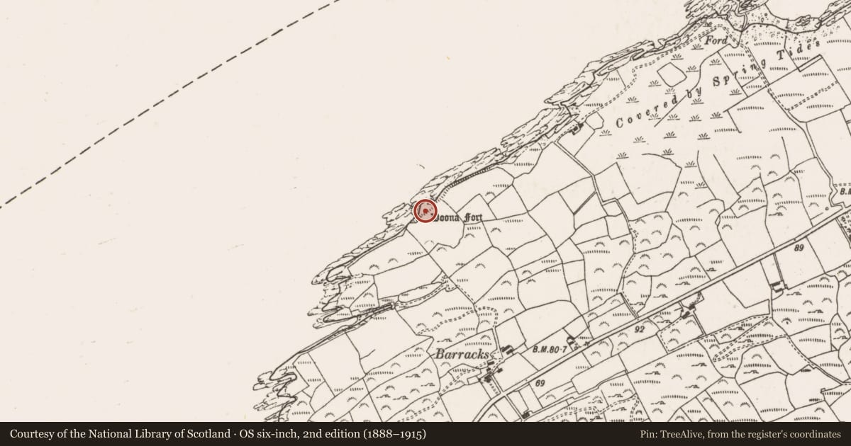 Ordnance Survey six-inch map, 2nd edition (1888–1915) covering the location of Promontory fort - coastal, Dunbeacon, County Cork, with a pin at the register's coordinates