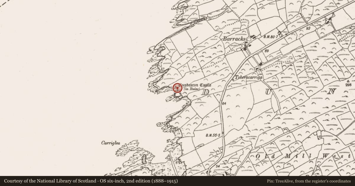 Ordnance Survey six-inch map, 2nd edition (1888–1915) covering the location of Midden, Dunbeacon, County Cork, with a pin at the register's coordinates
