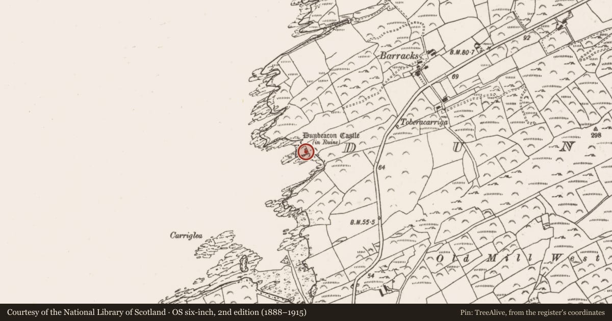 Ordnance Survey six-inch map, 2nd edition (1888–1915) covering the location of Castle - tower house, Dunbeacon, County Cork, with a pin at the register's coordinates
