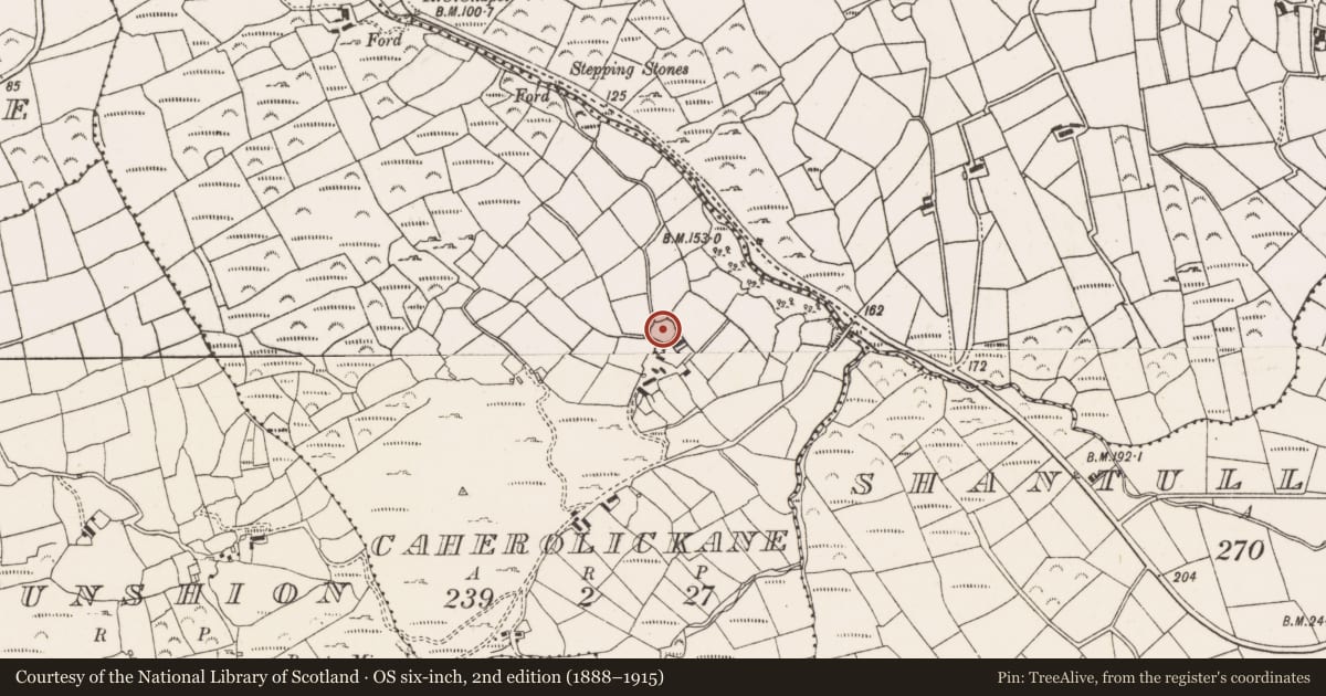Ordnance Survey six-inch map, 2nd edition (1888–1915) covering the location of Ringfort - rath, Caherolickane, County Cork, with a pin at the register's coordinates