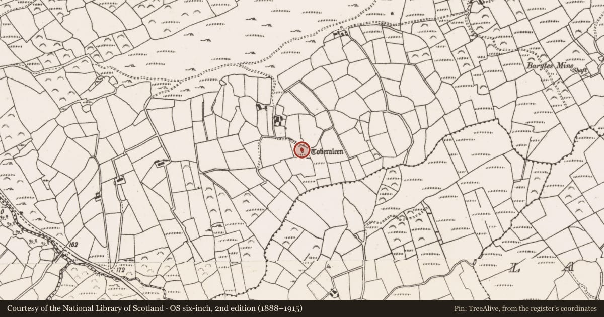 Ordnance Survey six-inch map, 2nd edition (1888–1915) covering the location of Ritual site - holy well, Dunbeacon, County Cork, with a pin at the register's coordinates