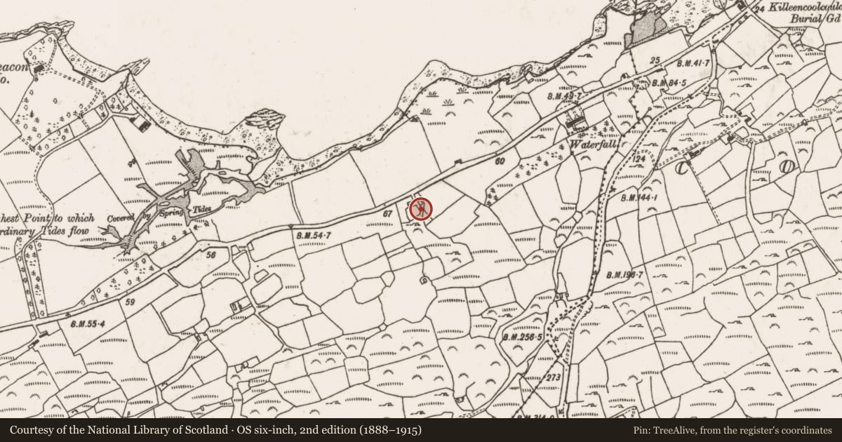 Ordnance Survey six-inch map, 2nd edition (1888–1915) covering the location of Souterrain, Dunbeacon, County Cork, with a pin at the register's coordinates