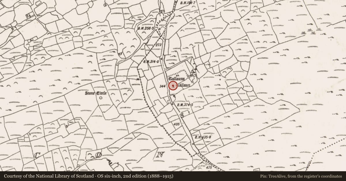 Ordnance Survey six-inch map, 2nd edition (1888–1915) covering the location of Standing stone, Coolcoulaghta, County Cork, with a pin at the register's coordinates