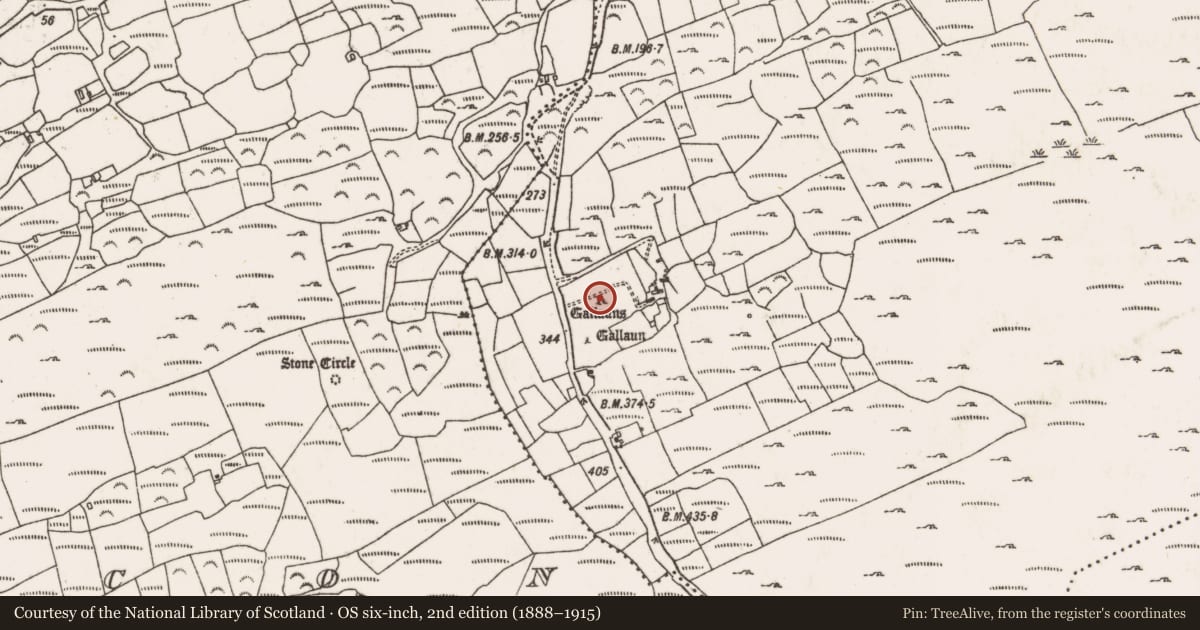 Ordnance Survey six-inch map, 2nd edition (1888–1915) covering the location of Standing stone - pair, Coolcoulaghta, County Cork, with a pin at the register's coordinates